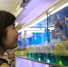 fish tanks
